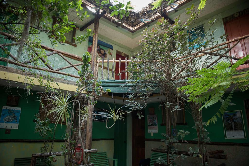Hostal Dona Chava Педерналес Екстериор снимка